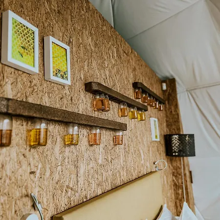 Natura Glamping Alcongosta Exterior photo