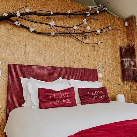 Natura Glamping Alcongosta Exterior photo